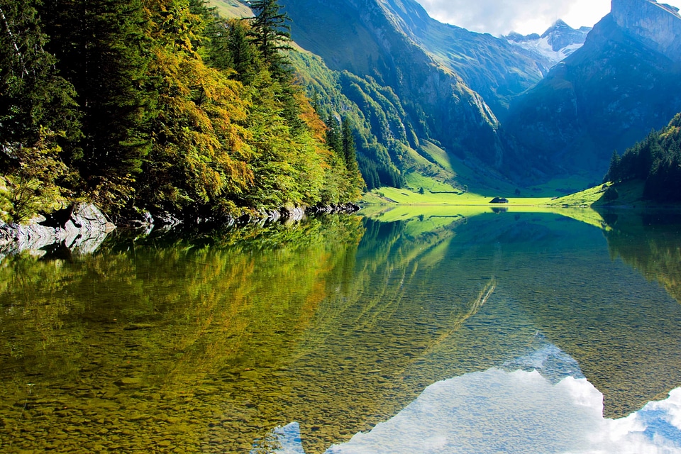 Beautiful Photo forest lake