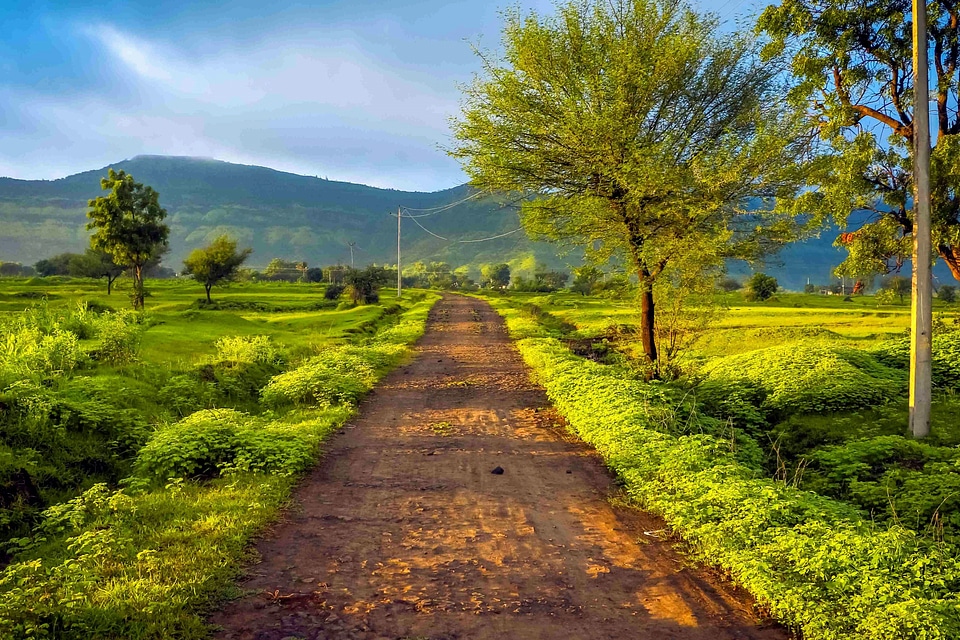 Access Road beautiful photo farmland