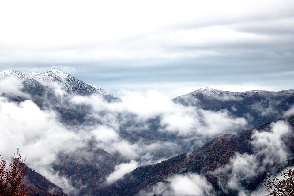 Cold fog mountain