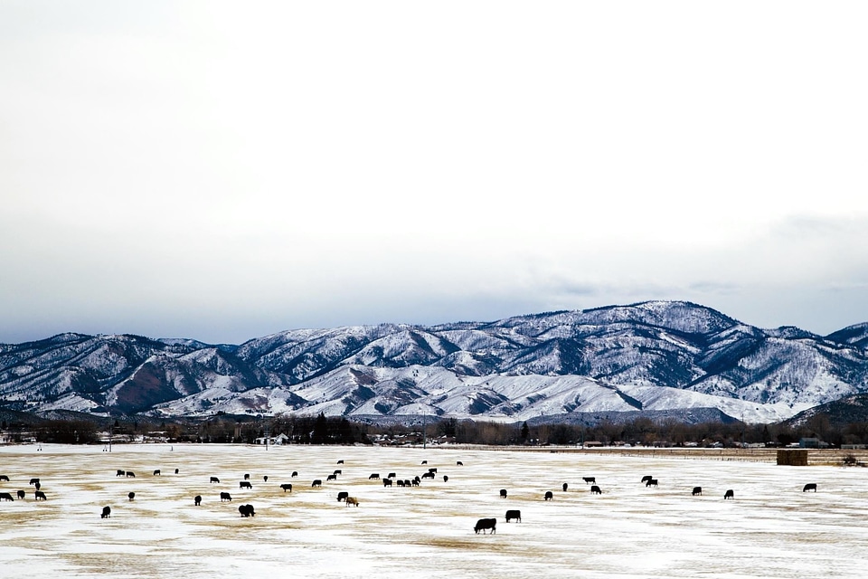 Farm landscape mountains