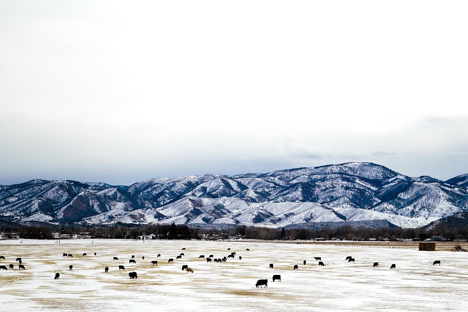 Farm landscape mountains photo