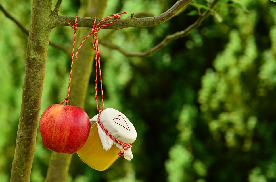 Apple beautiful photo food