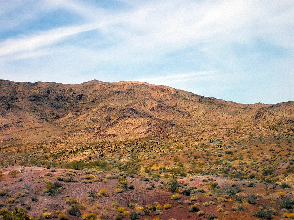 Desert hill landscape photo