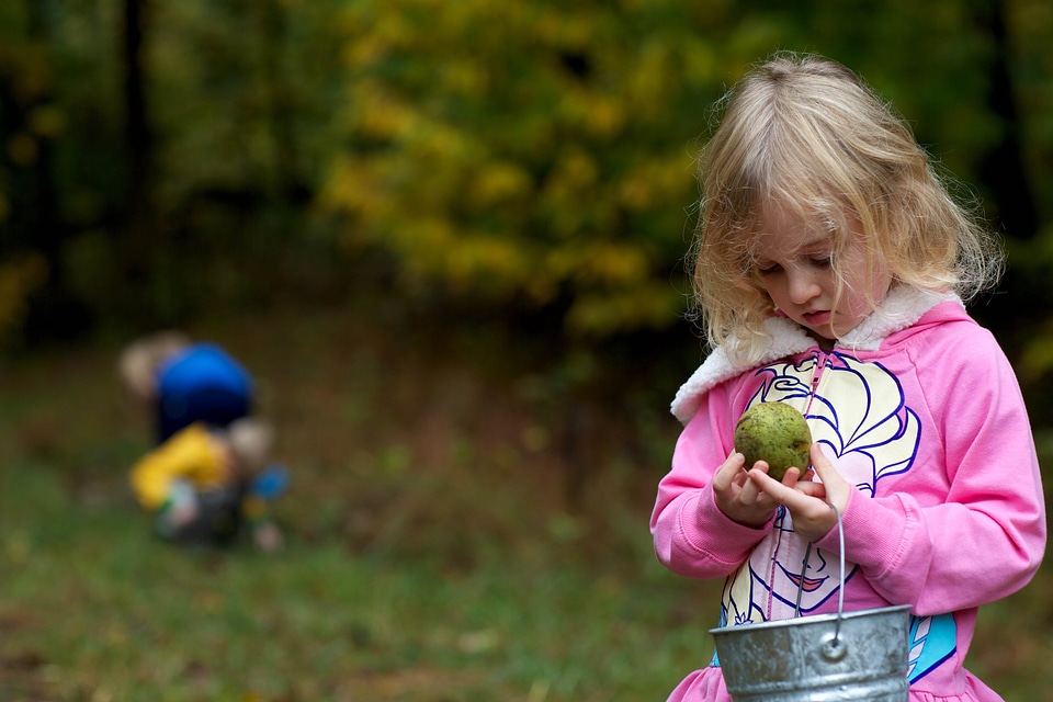 Acorn beautiful photo crop