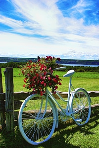 Bouquet landscape nature
