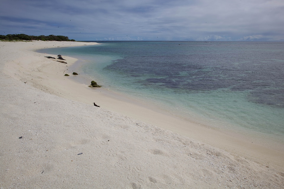 Costa sand seashore