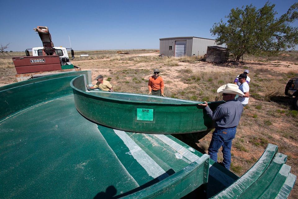 Cattle irrigation labor