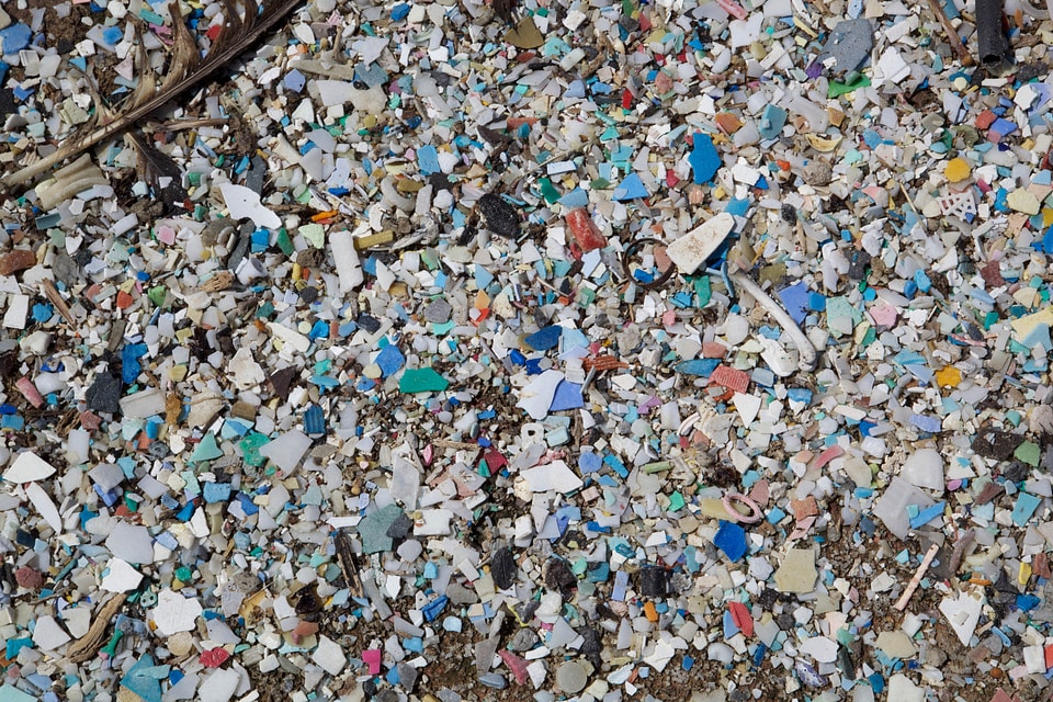Contamination garbage pacific