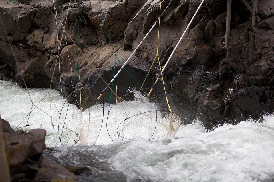 Fishery traditional 