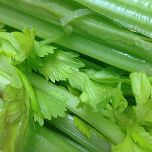 Food vegetarian fresh