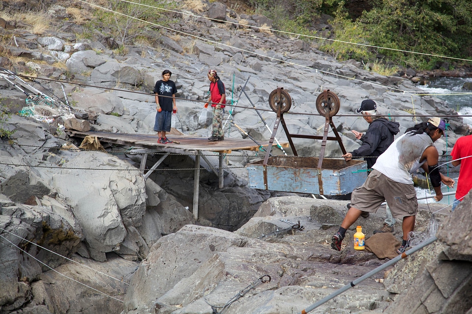 Fish fishery salmon