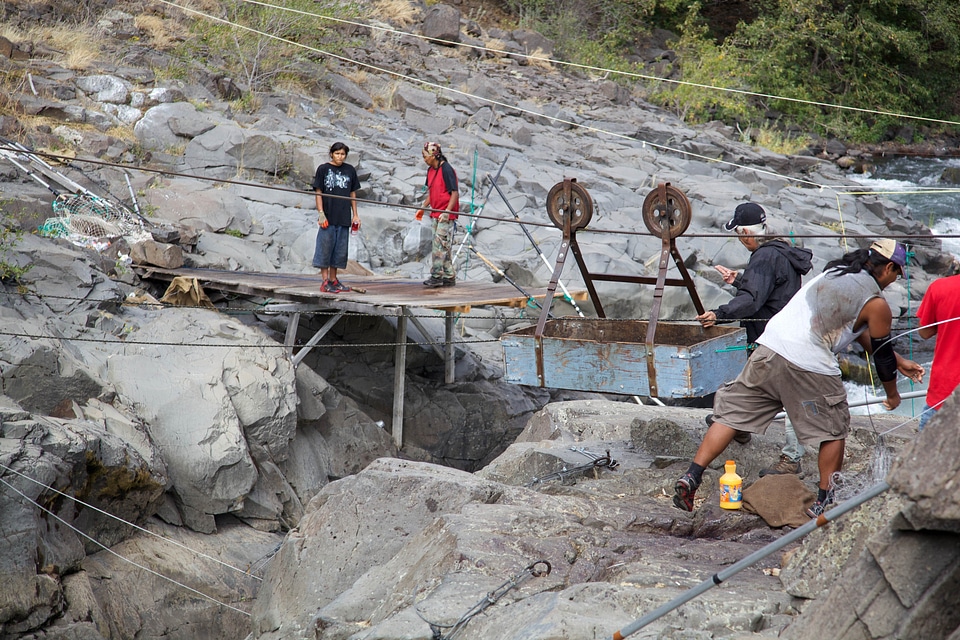 Fish fishery salmon photo