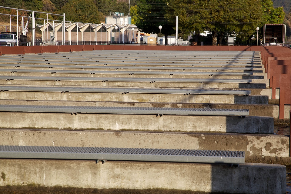 Facilities fish hatchery