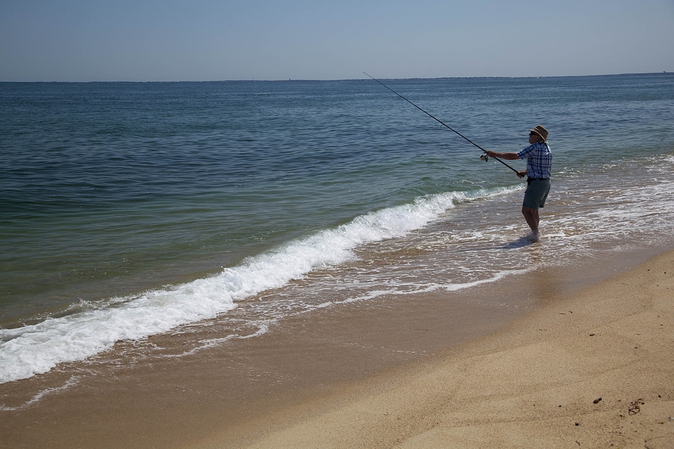 Fishery husband phylum