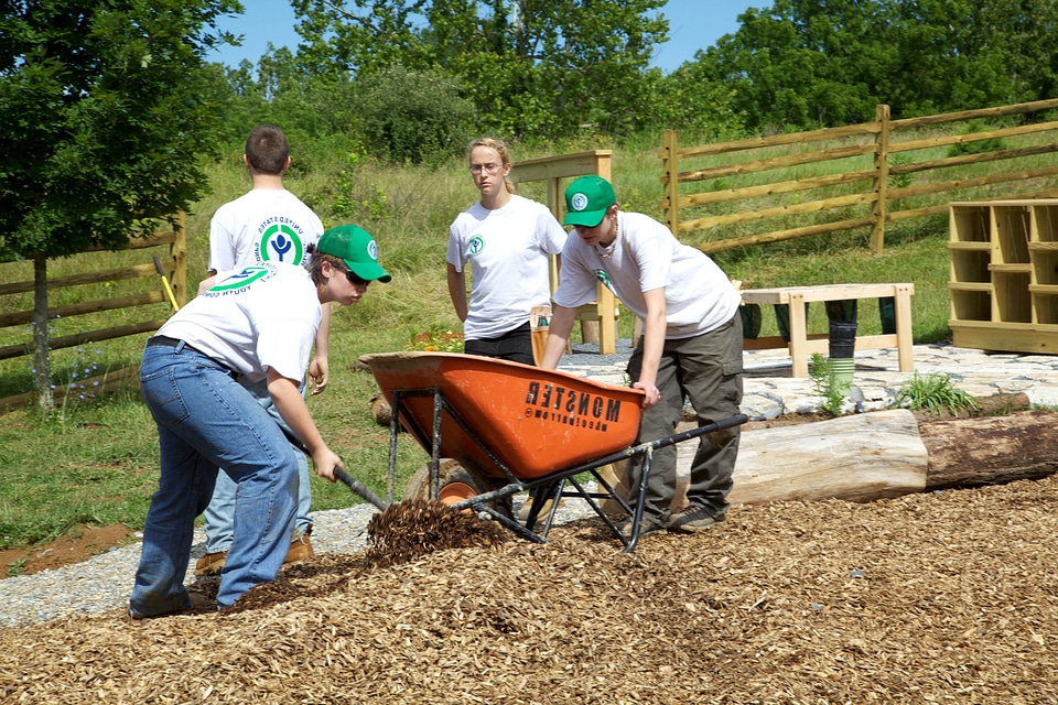 Body conservation labor