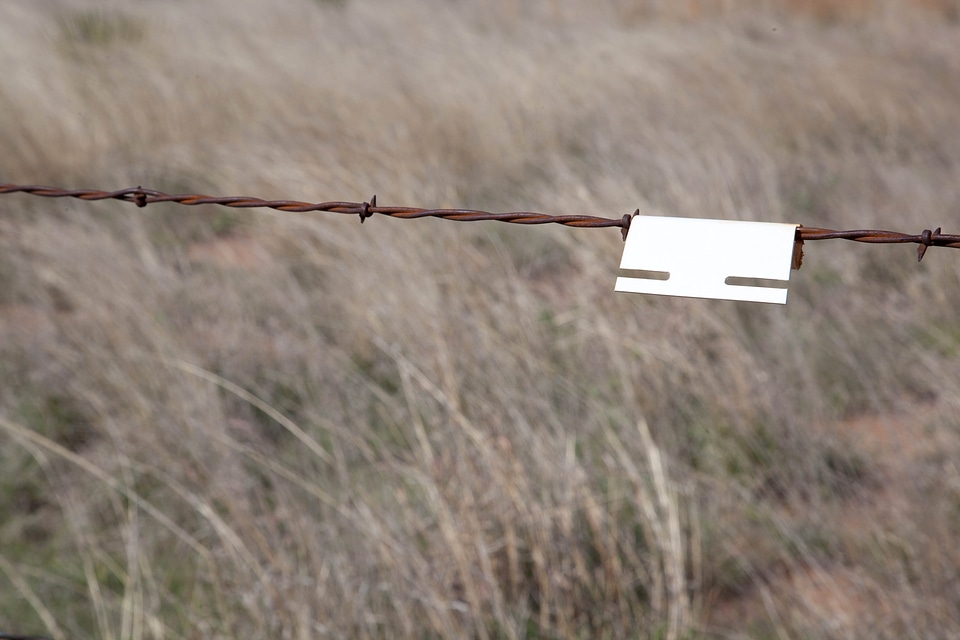 Barbed Wire desert iron