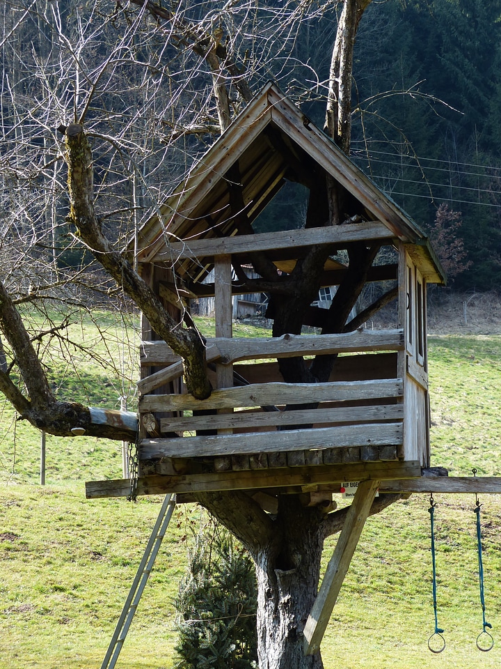 Woodhouse tree play