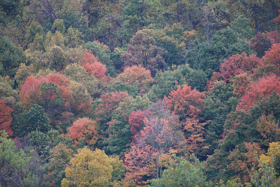 Autumn colorful colors