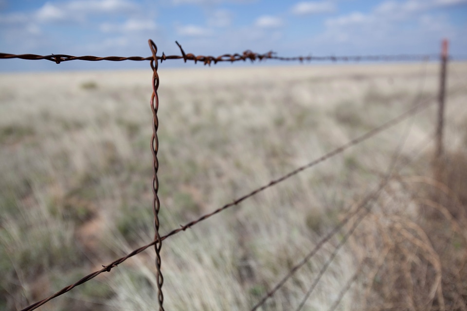Barbed Wire close desert