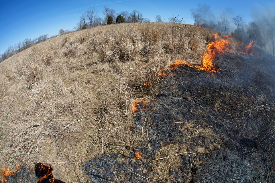 Administration fire hill