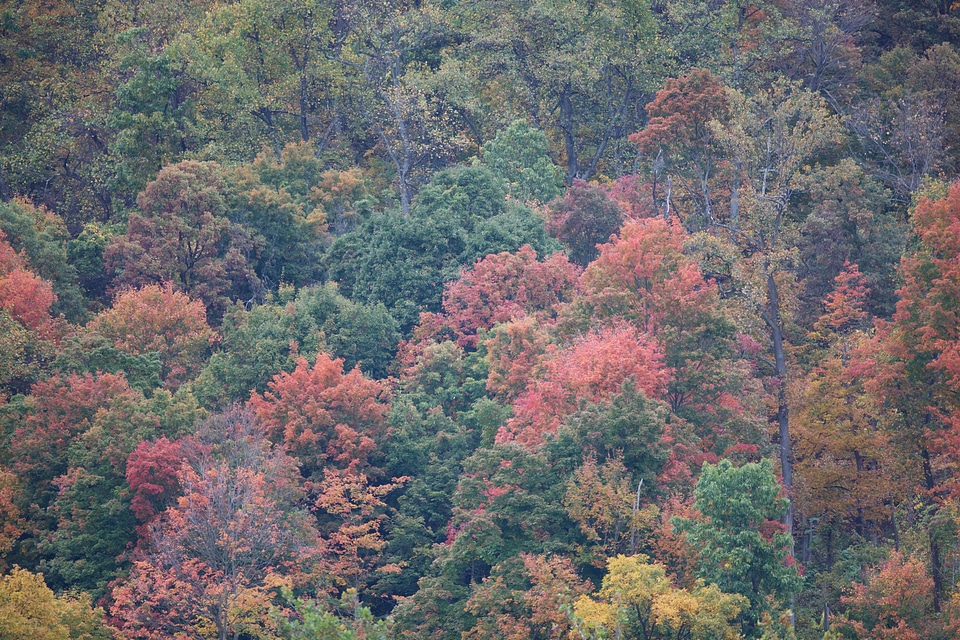 Autumn colors scenic