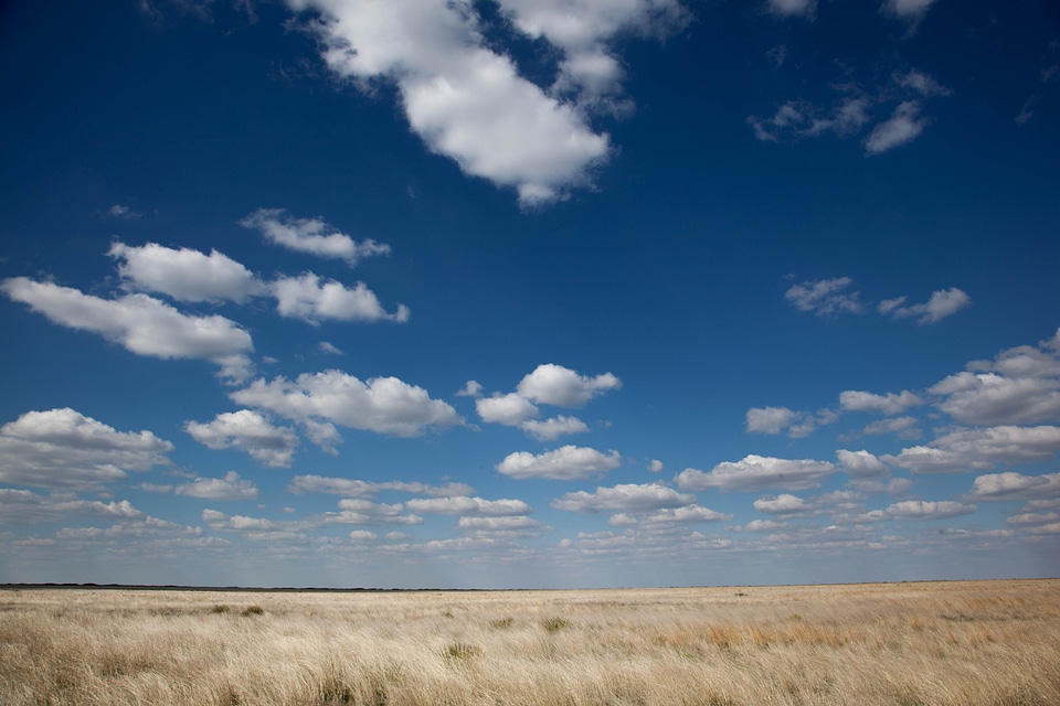 Campaign climate desert