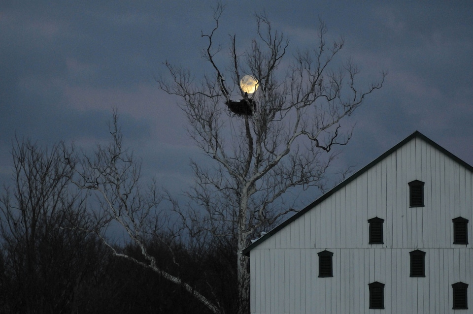 Barn evening full moon