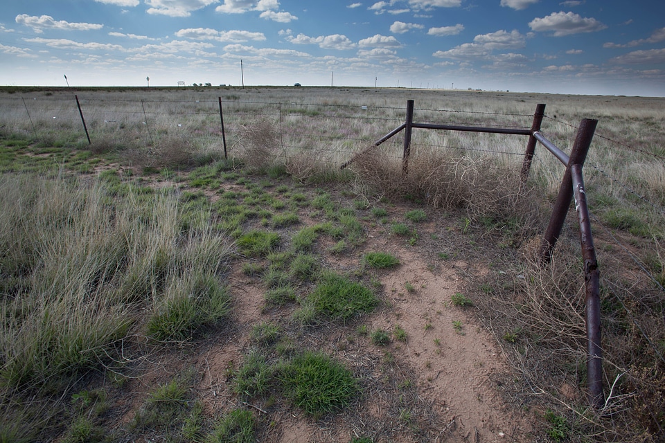 Barbed Wire close desert