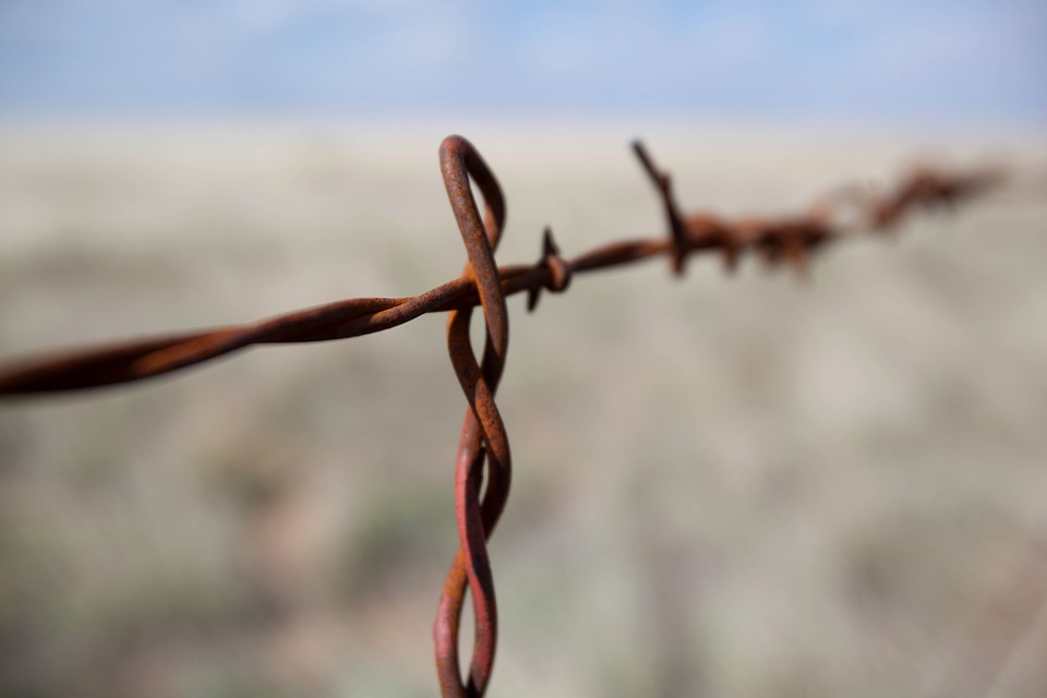 Barbed Wire cast iron iron