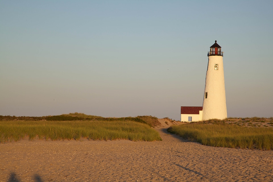 Coast light house phylum
