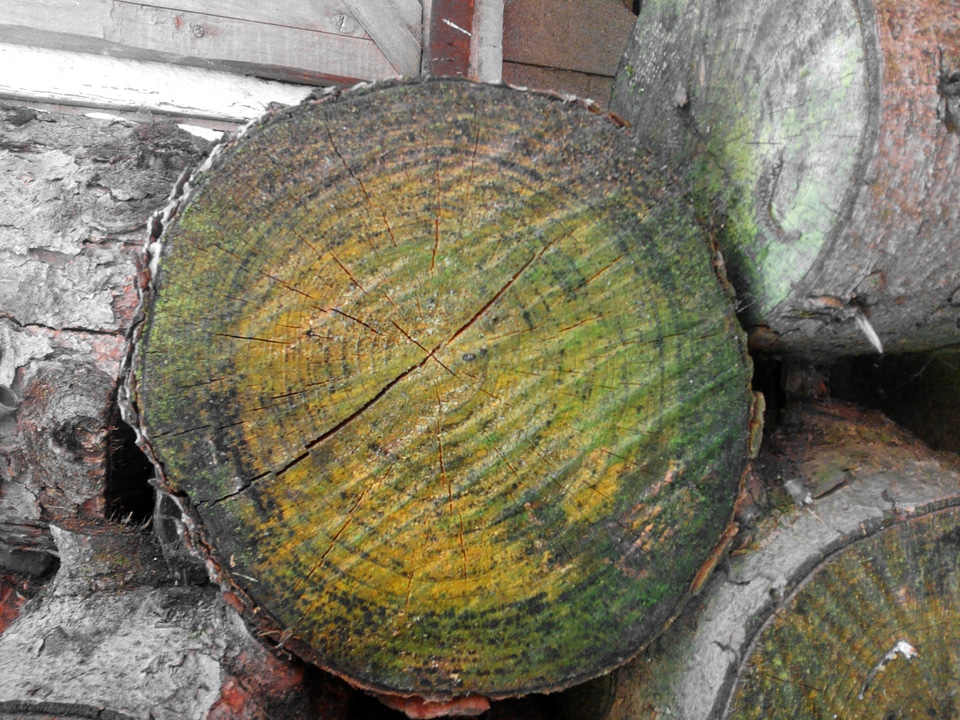 Cross firewood lumber