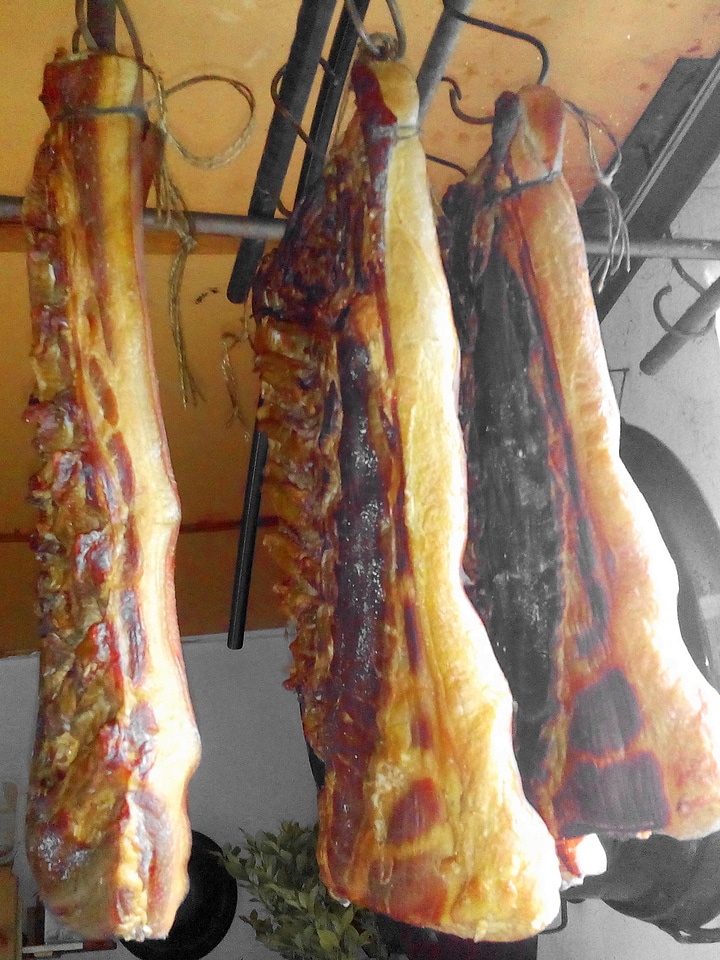 Bacon flesh 