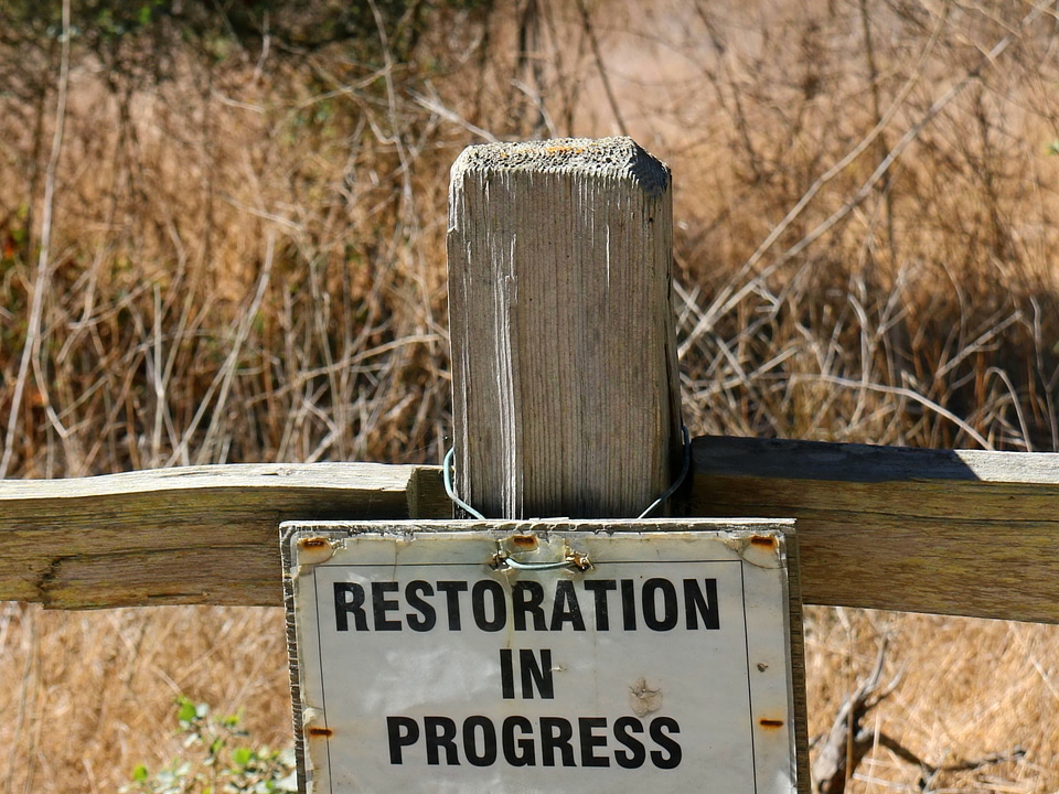 Close fence line progress