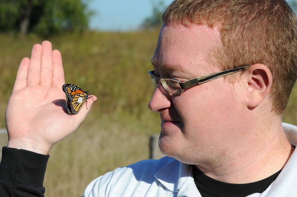 Biologist butterfly monarch