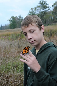 Boy bug butterfly