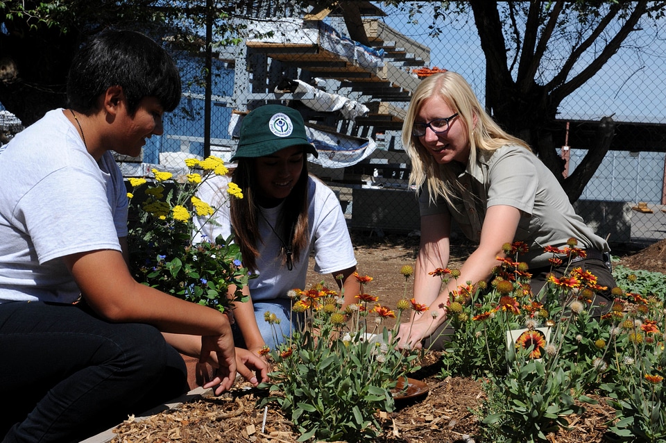 Community gardening group