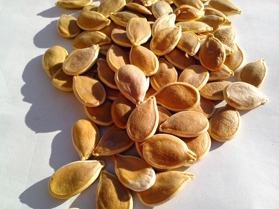 Cucurbita Moschata natural organic
