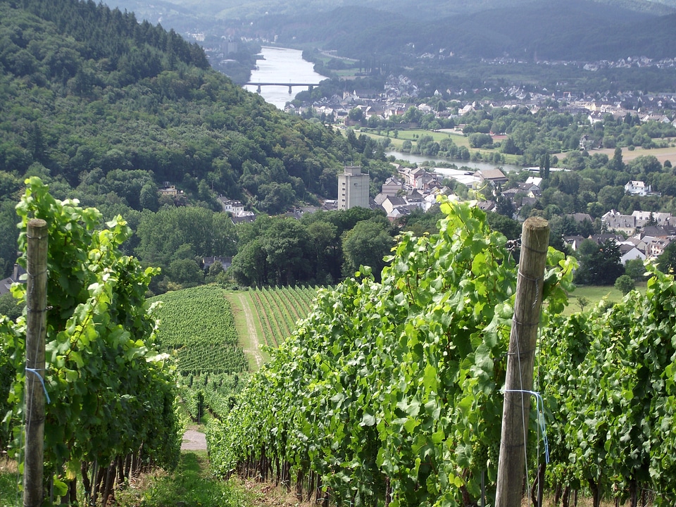 Water moseltal mountains