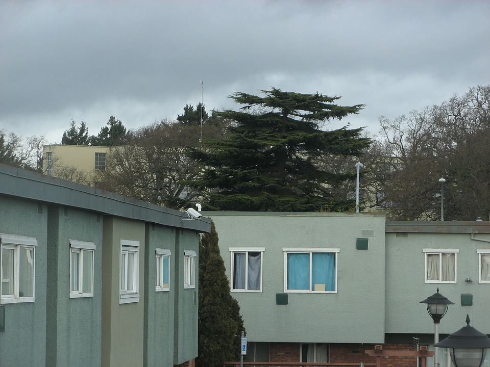 Complex housing road