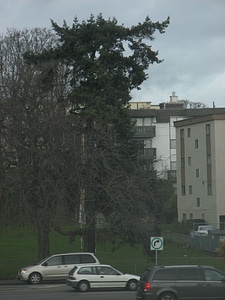 Car cars parking