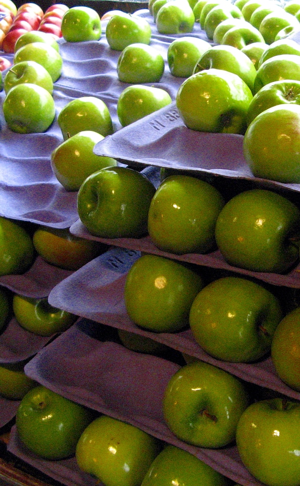 Apple apples business