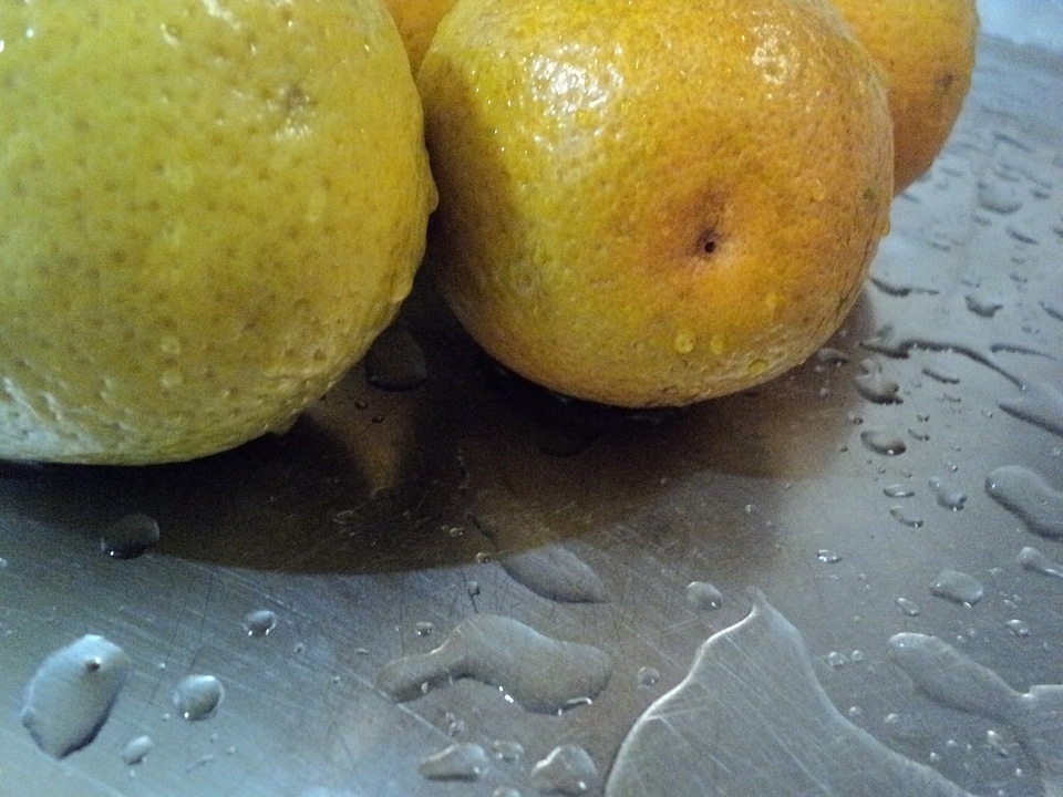 Citrus fruit orange