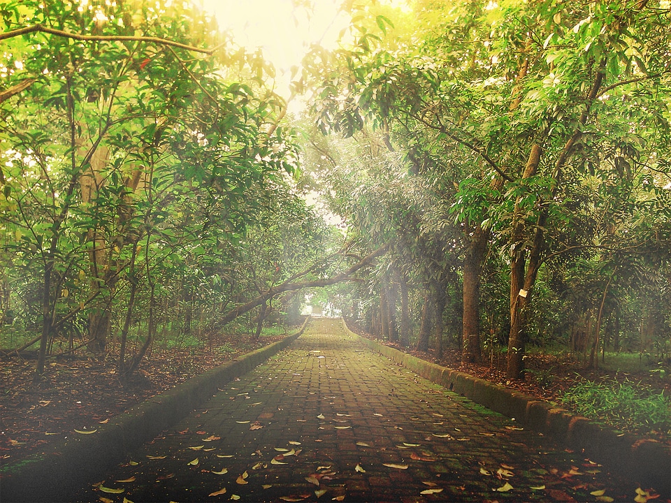Beautiful Photo botanic campaign