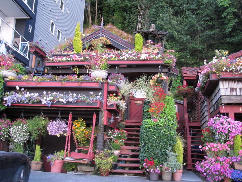 Blossom home 
