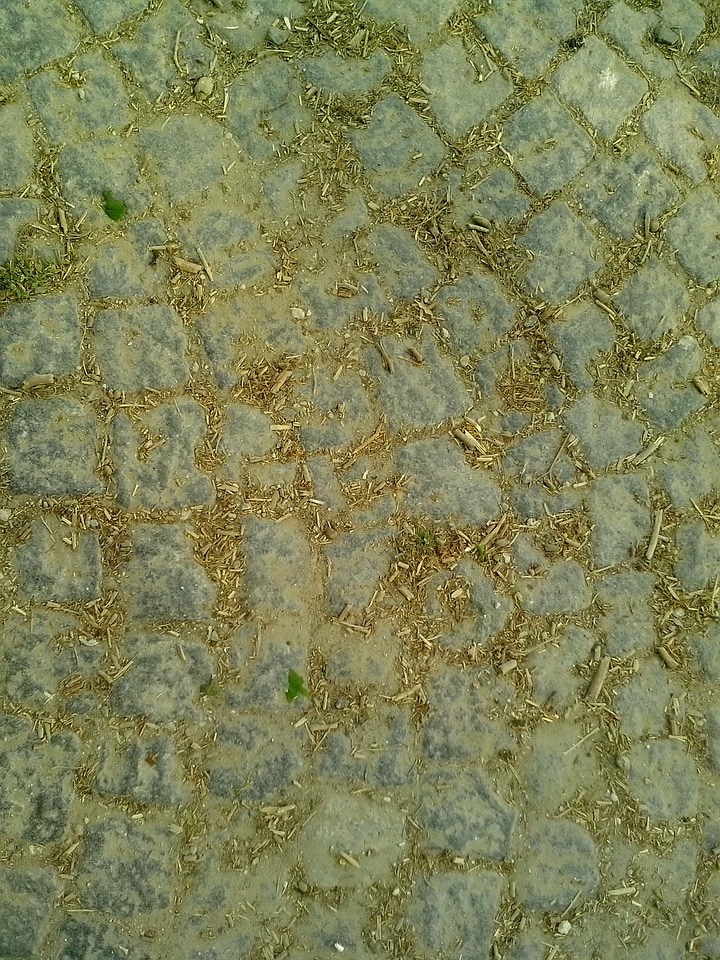 Footpath stone stones