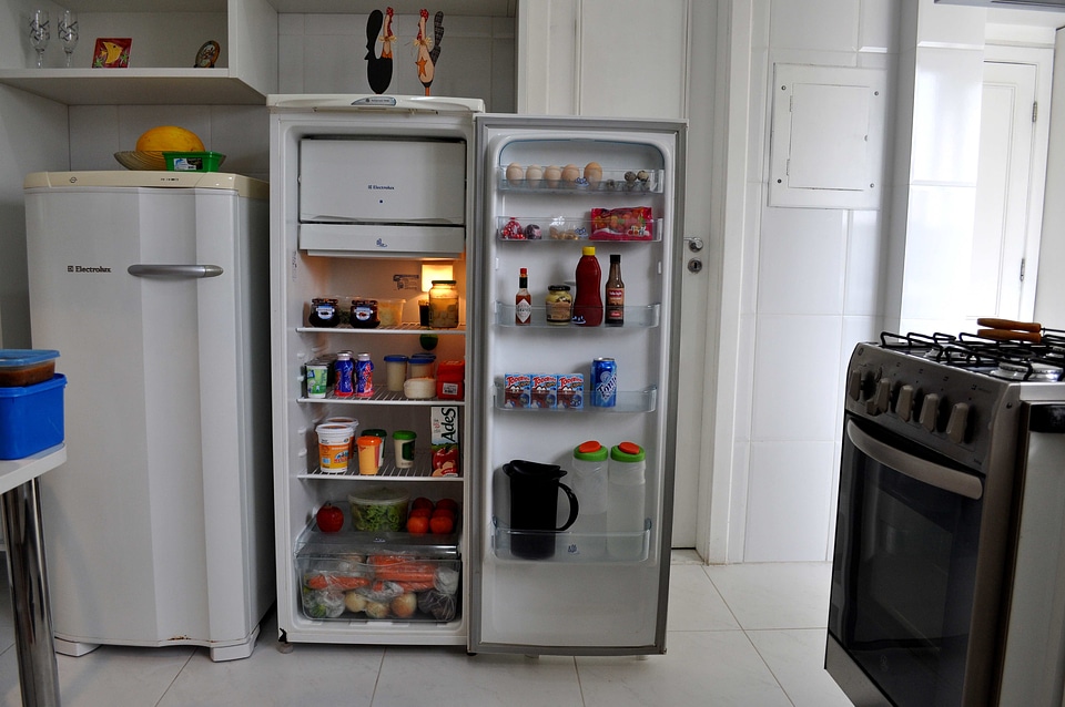 Cooking fridge open