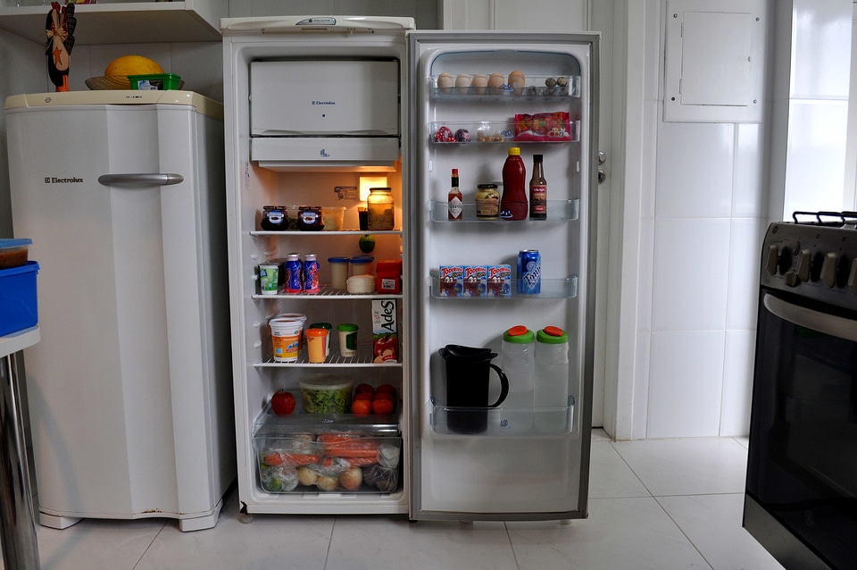 Cooking food fridge