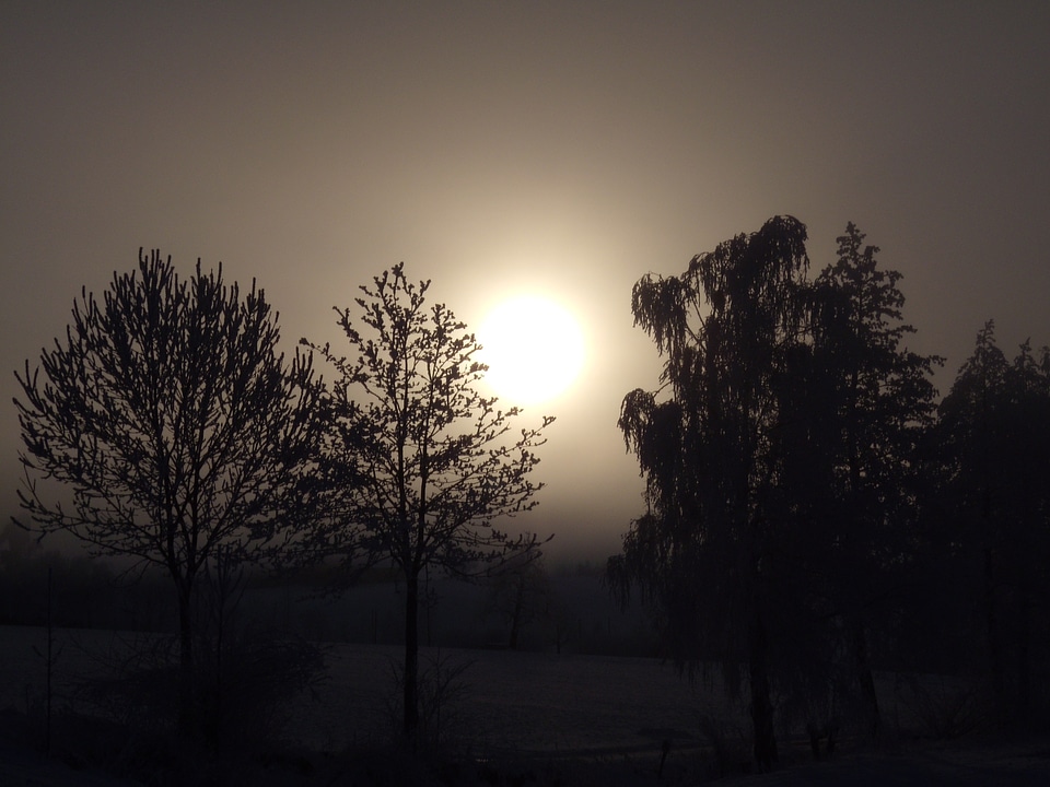 Morning go up winter picture