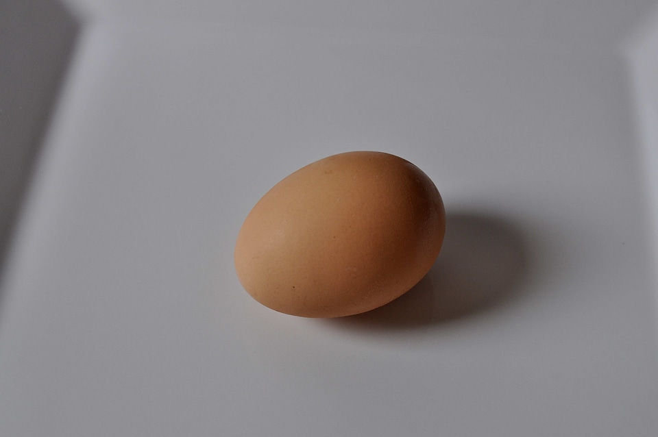 Background chicken egg