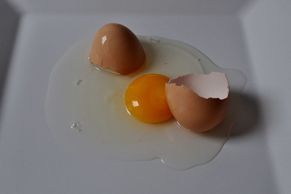 Chicken egg egg yolk